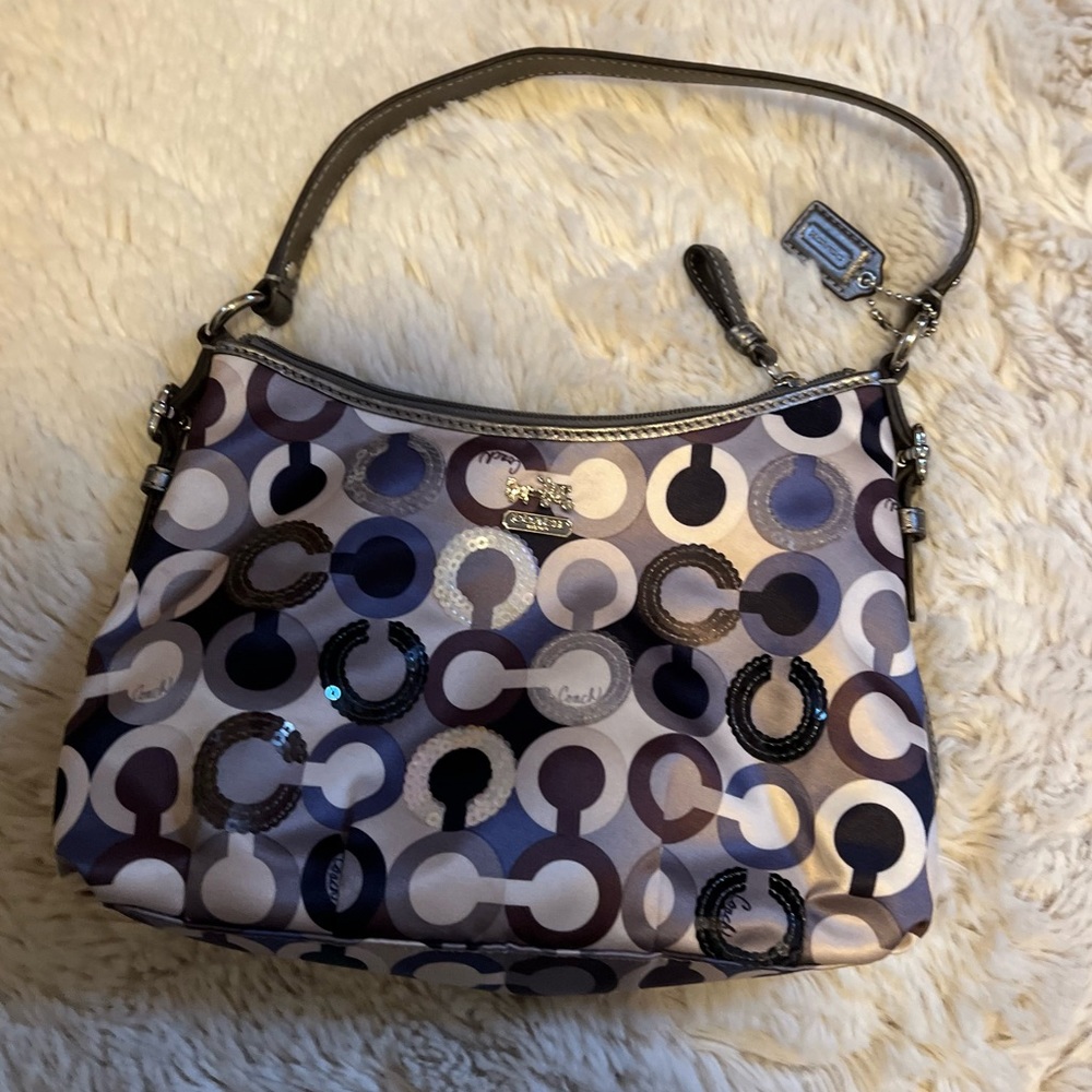 Silk Sequin Multicolor Coach Bag